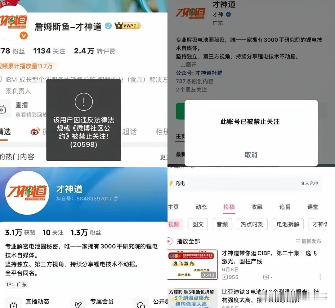 才神道终是自食恶果了，就看后续比亚迪会不会起诉他，然后他的背后金主会不会如CC保