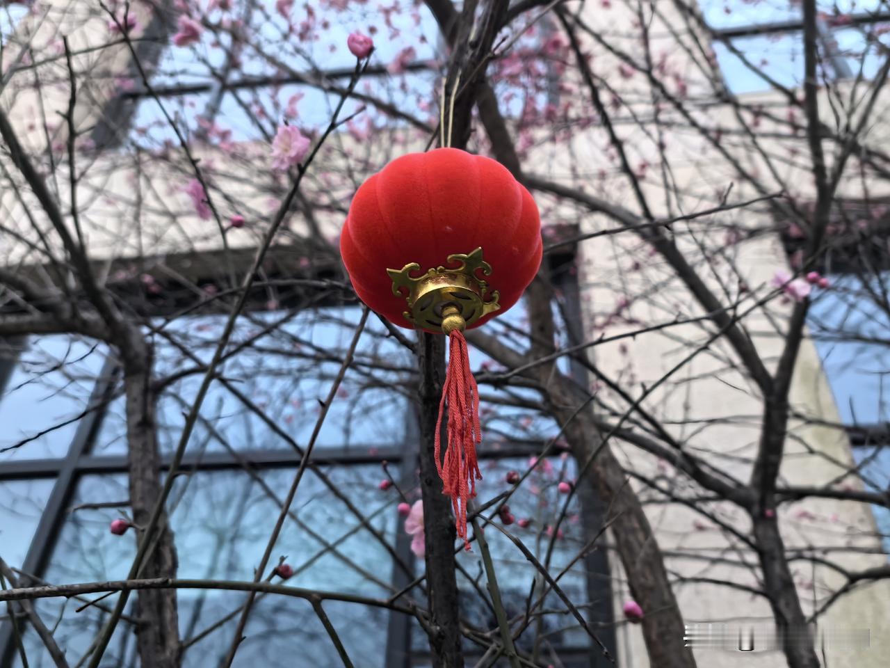 96年女孩提前退休96年女孩30岁宣布退休，成为家里第一个退休的人。凭什