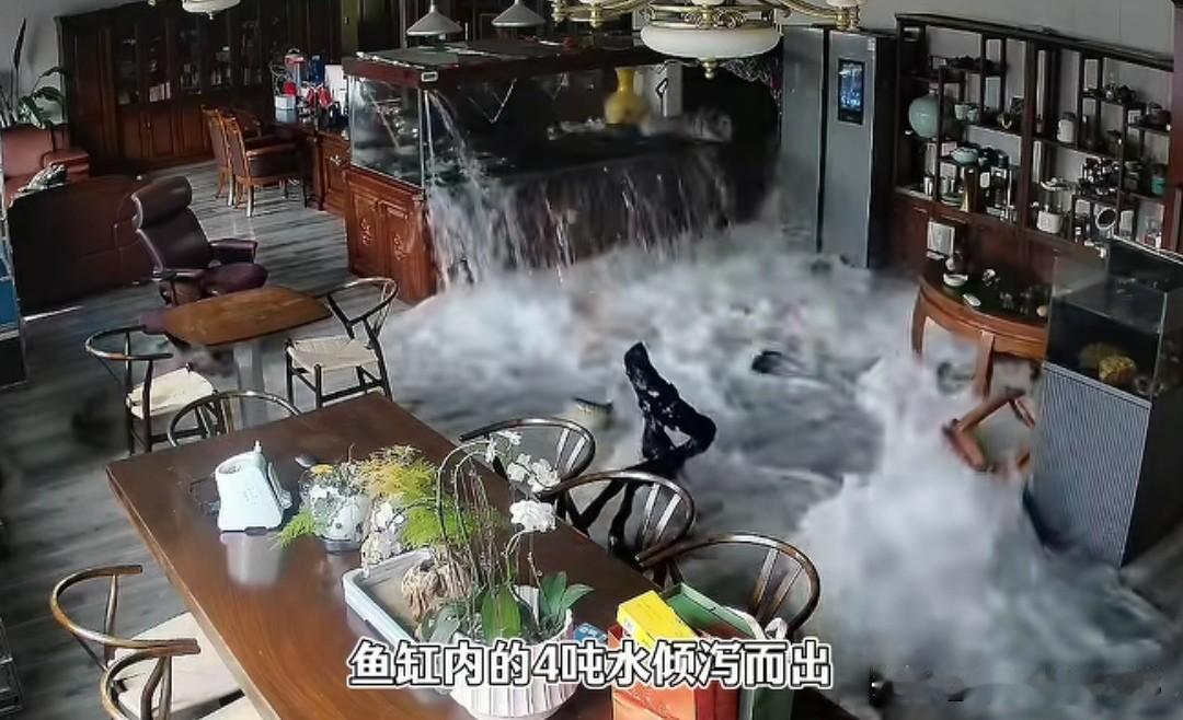 十年养鱼无人看，鱼缸一爆全网火！30万名贵龙鱼直接变全鱼宴，老板含泪喝汤事