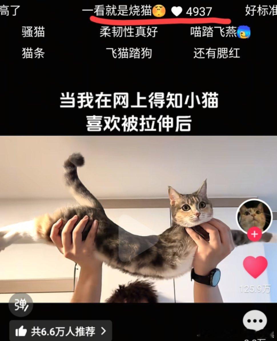 对小猫都能开h腔？