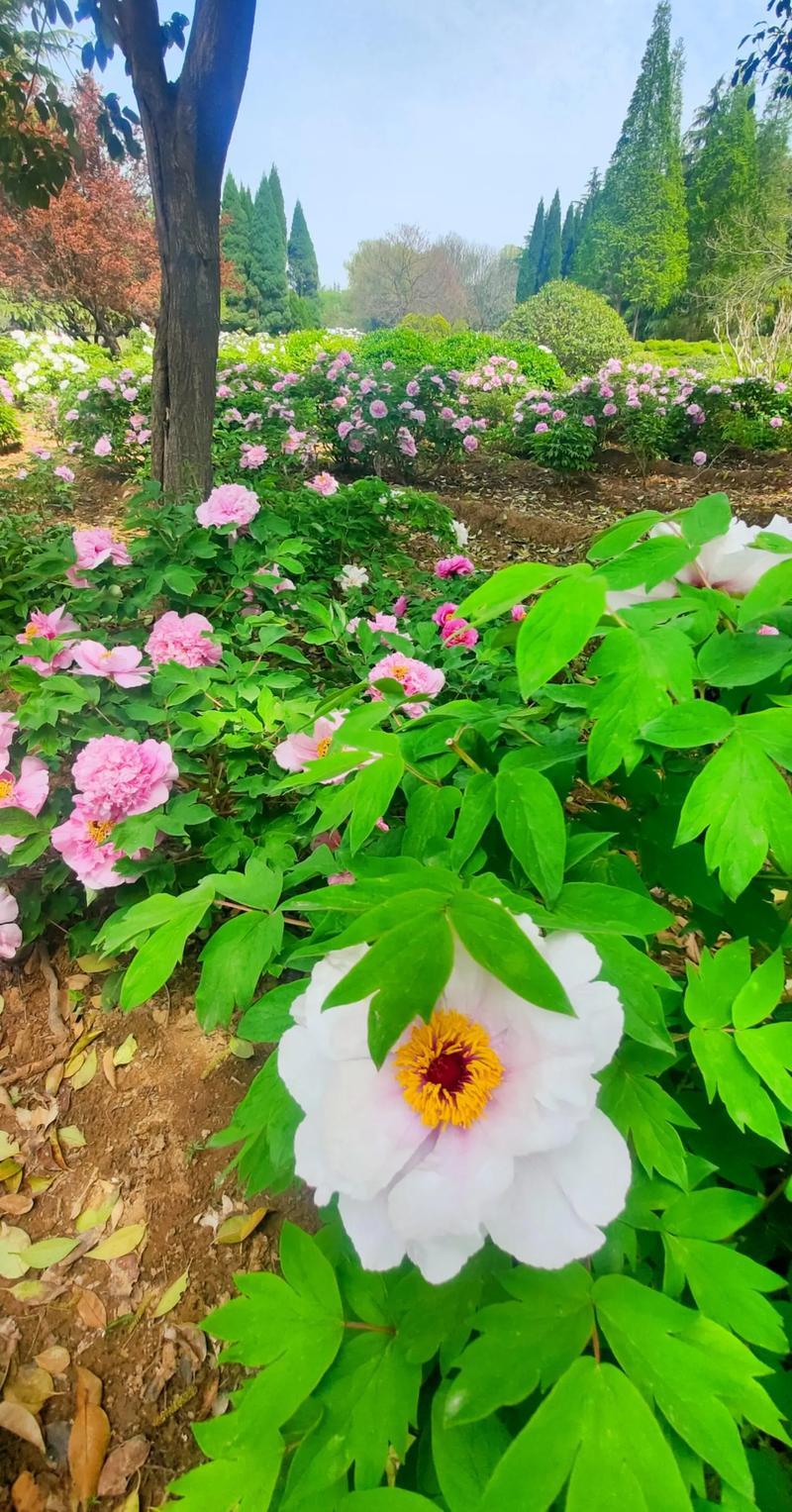 你发现没：越是孝顺、陪在老人身边的子女，往往是最不招老人待见的不知道大家有