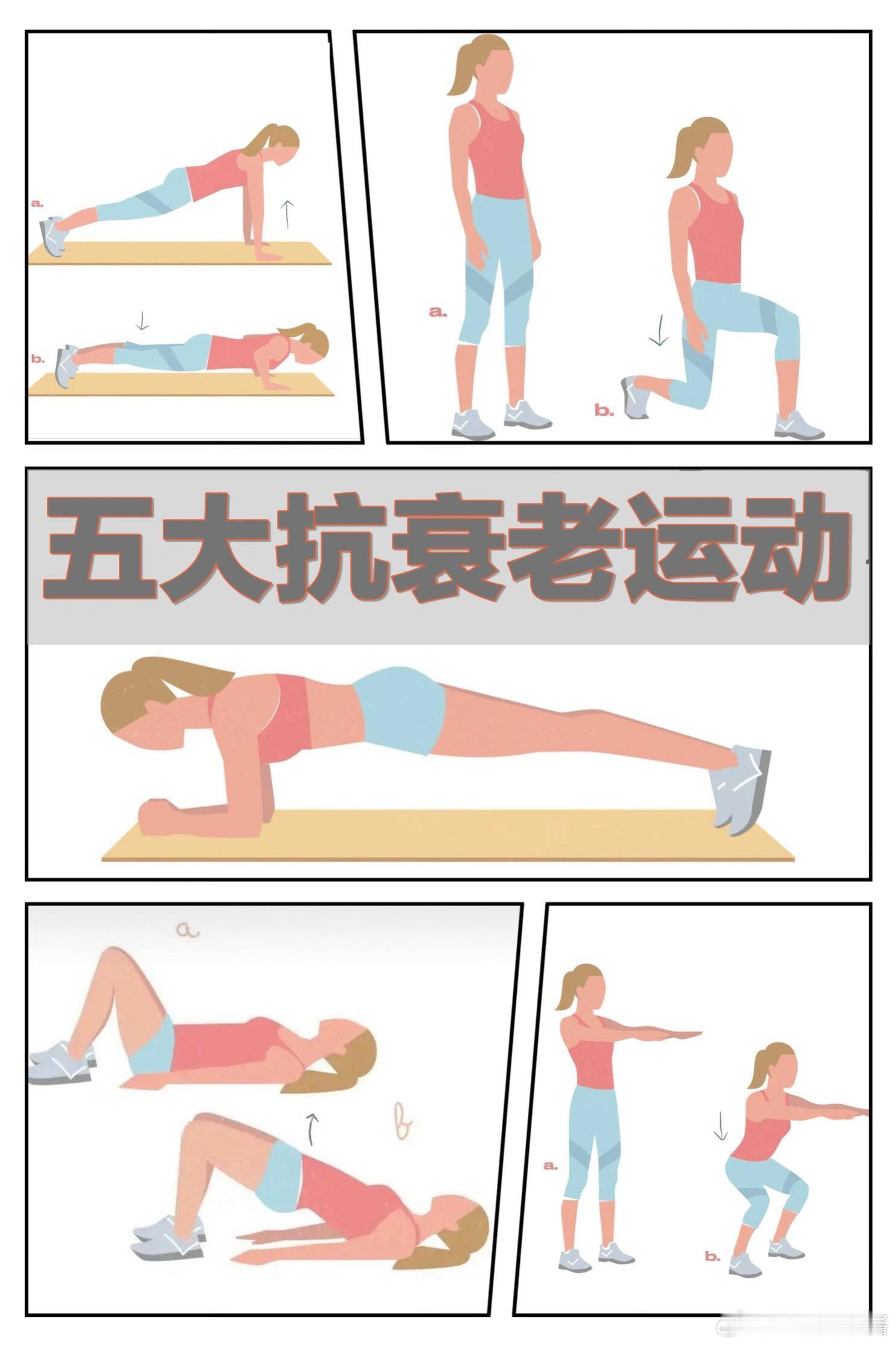 运动科普运动康复运动抗衰老✨全球五大公认动作✨随时随地可以1️⃣深蹲：“力量训