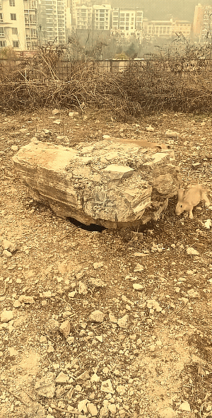 秦王绕柱。狗撵兔，差一步儿。不知是兔子遛狗玩儿，还是狗逗兔子玩儿。不过，总感