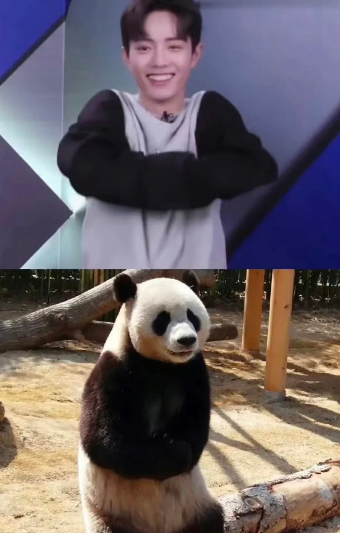 一模一样​​​