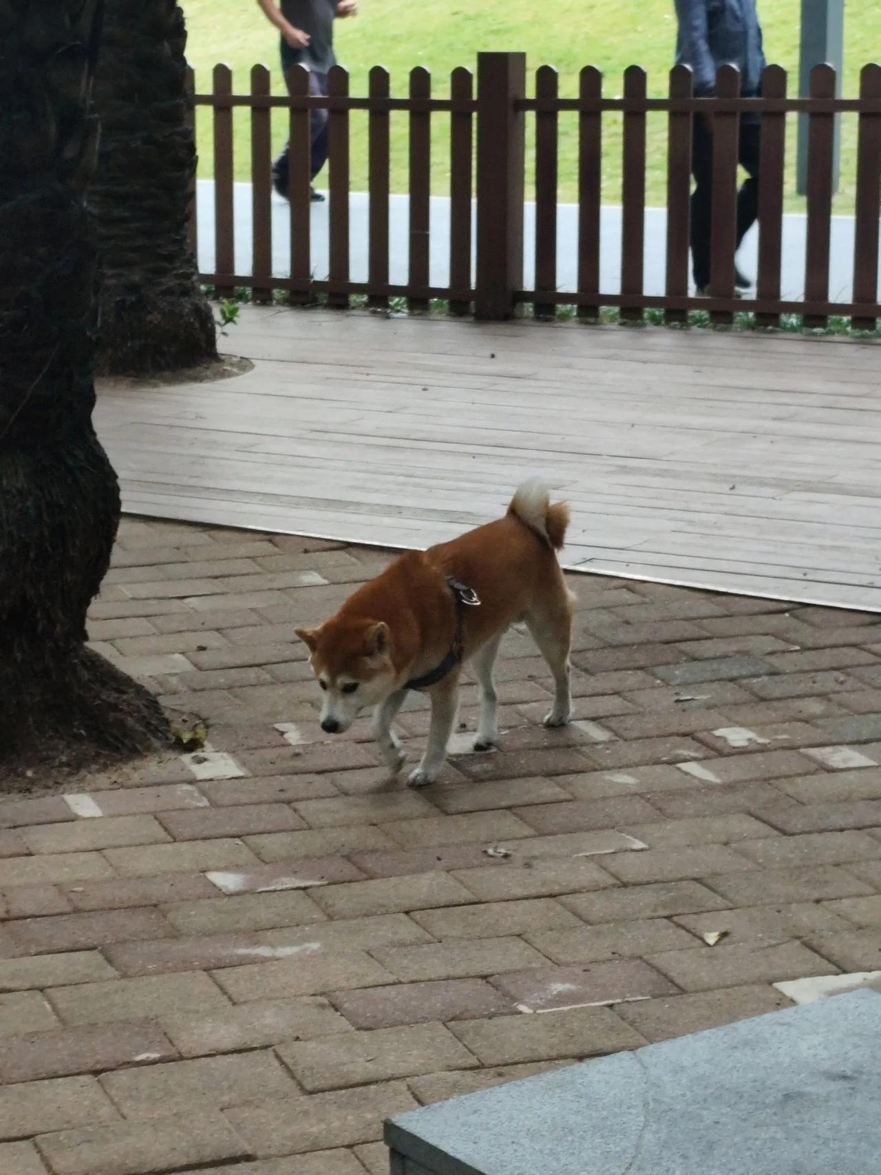 独特视角读水浒，为什么武松动不动就打人，读者还喜欢他？因为官府治不了这些恶人，