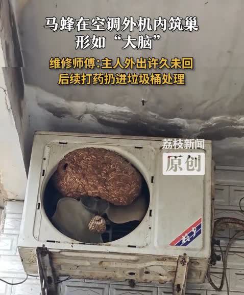 “太可怕了！”8月7日，河南信阳，一男子外出5年没回过家，回家发现空调不好用了，