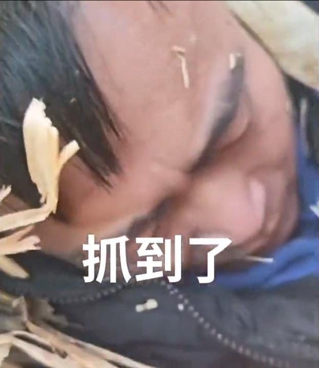 半年出狱即酿双命案！吉林惯偷的失控人生12月吉林松原、通榆两地接连发生命案