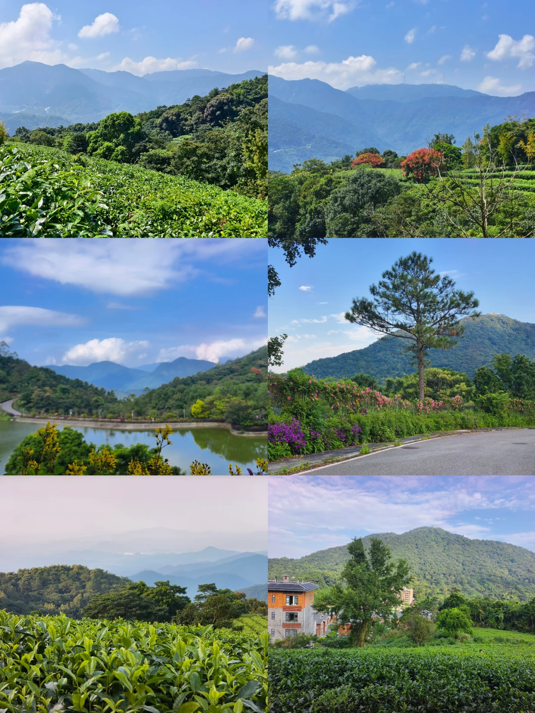 山野拾光🌿