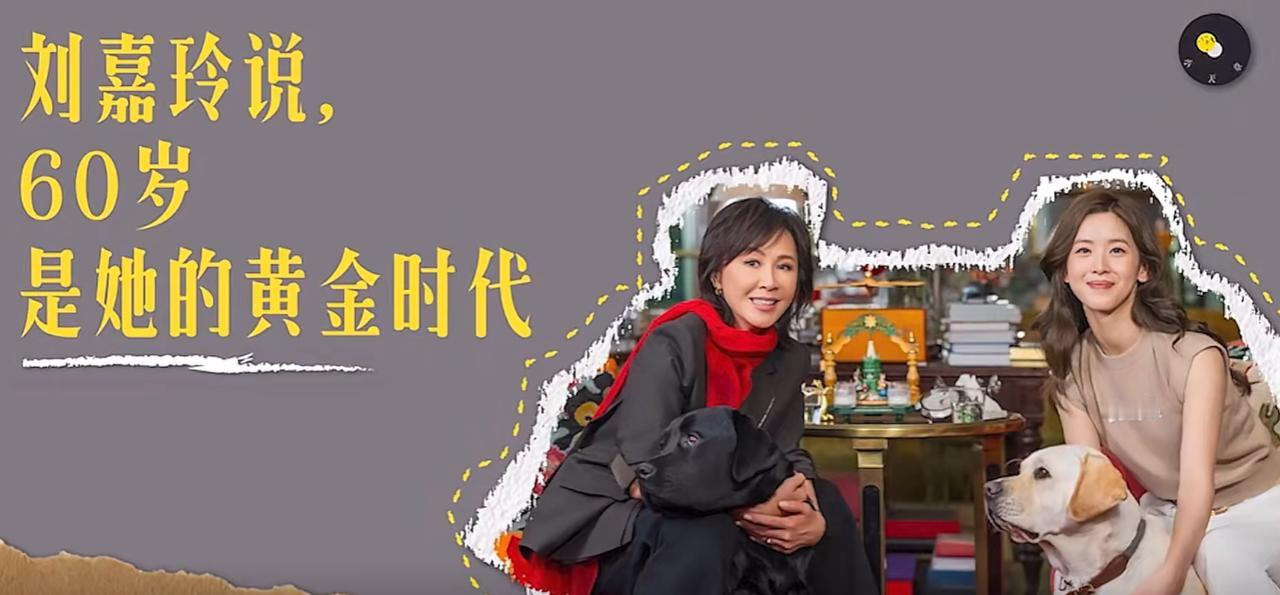 章泽天博客被群嘲，刘强东这回为什么不阻止？章泽天首期博客，采访刘嘉玲，反响如