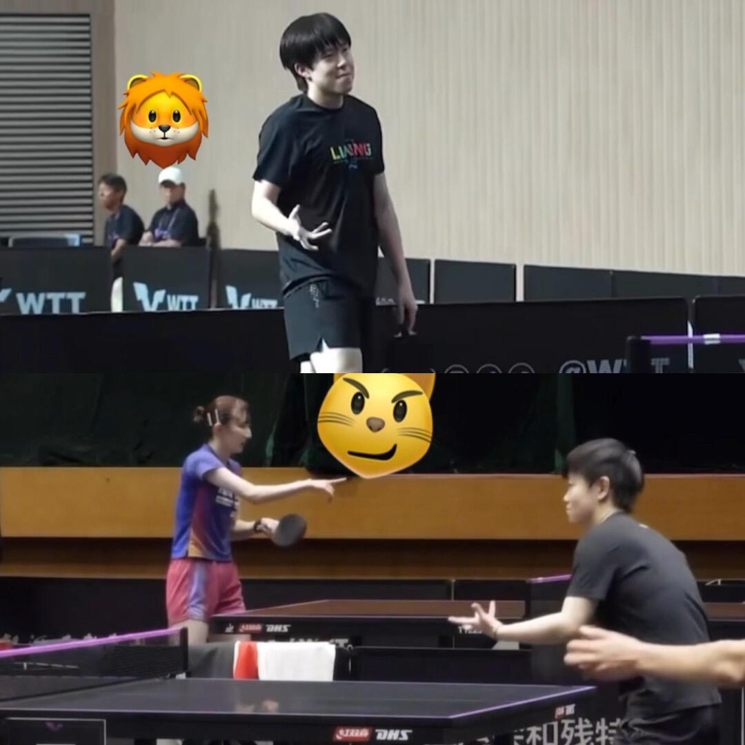 哇哇，两小只，🦁和🐱，两个人都在训练场打球，手的动作惊呆了！训练的视角看，