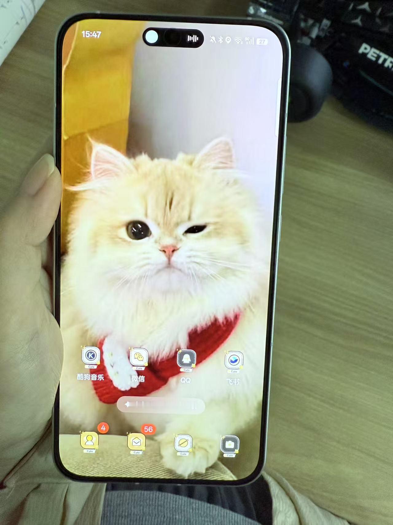 分享我的新壁纸～猫猫也太可爱了叭🐱OPPOReno14的主题里找的，这