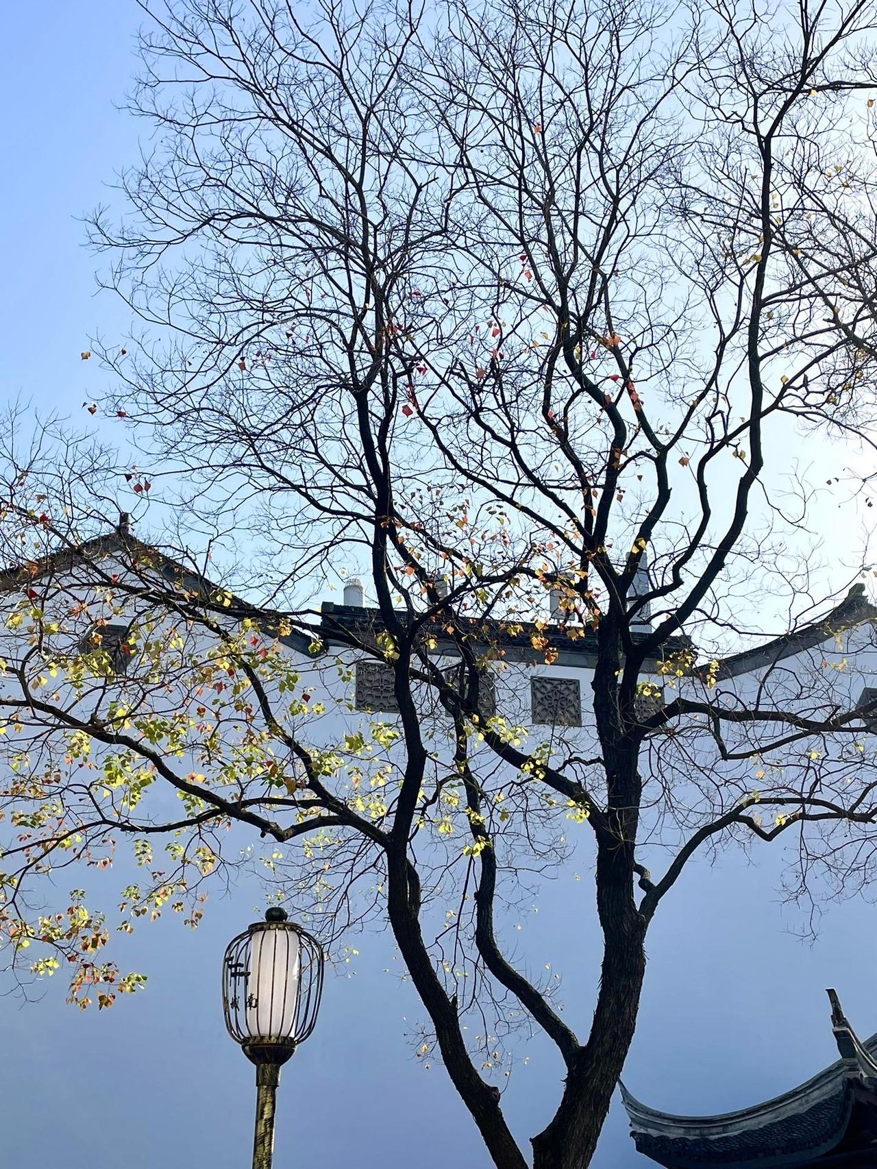 我时常能看到正高级或特级教师的称号，这实则是对老师教学能力的认可。然而当下有股不