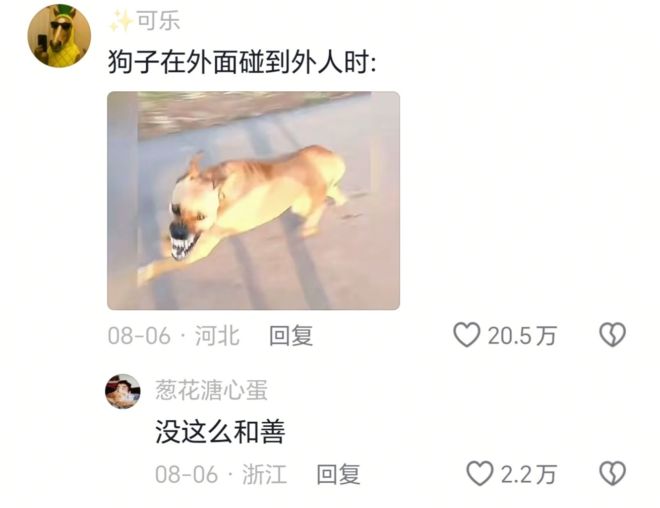 跑赢了累狗腿，跑输了有鸡腿
