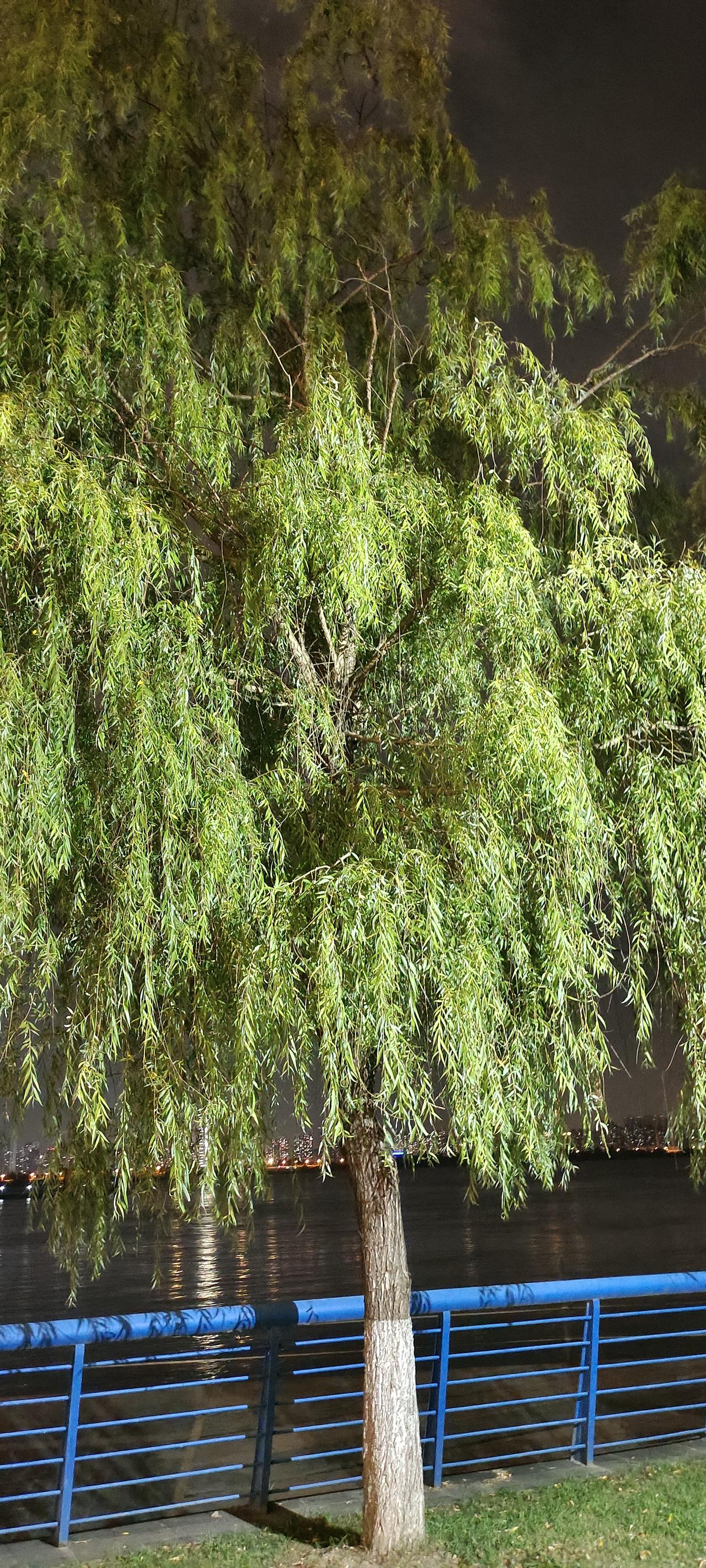 千万不要和楼下的邻居走太近针尖大的事他都会找你算账前几年，我偶尔翻社区群