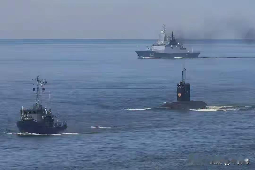 美国又干了件石破天惊的事但这一次，全世界却出奇地平静...你猜到了吗？就在上