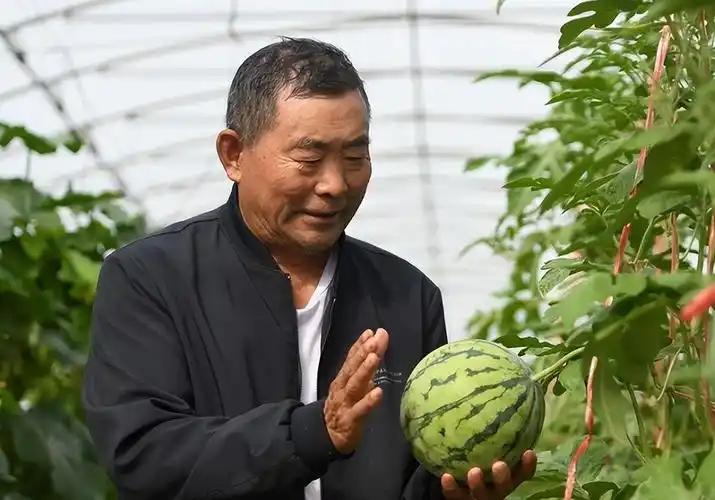 美日专家啃了十几年没啃动的难题，被一个中国农民给破了！美国甩出三百万美元想独吞专