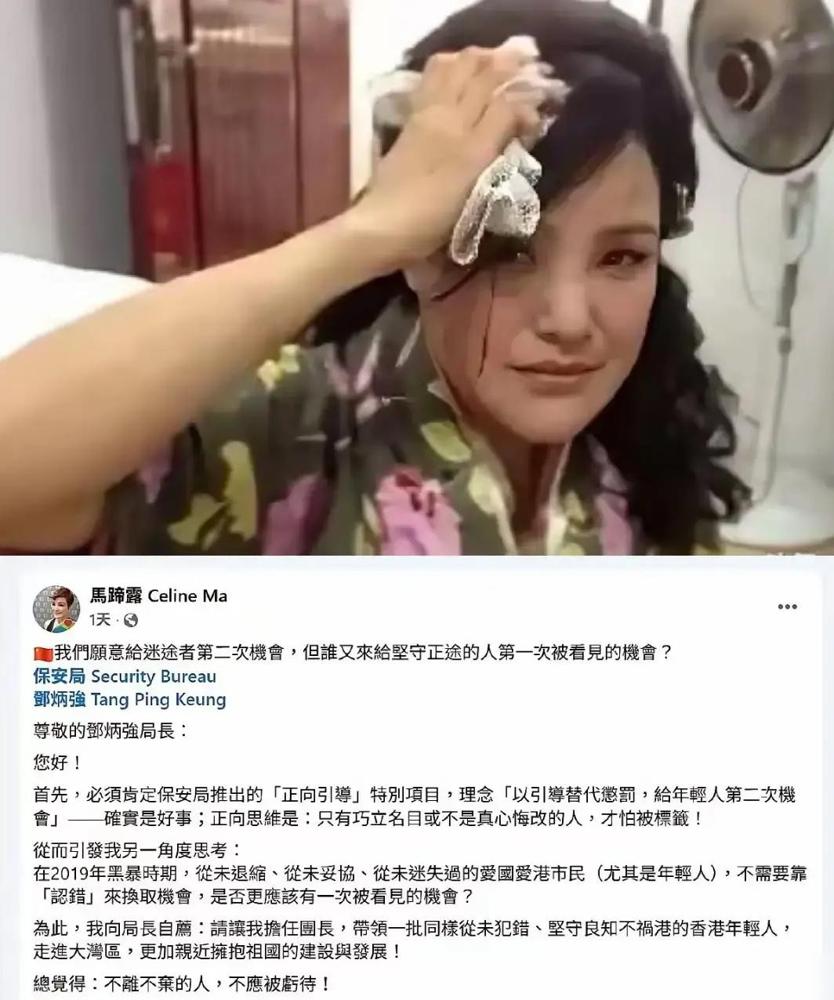 低头，领了保安局的导师位；流血，写信求助却无人理。你看张敬轩，一篇专访，几句