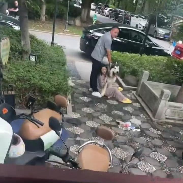 苏州遛狗不拴绳咬伤两名幼童我们小区也有养大型犬的，有时候它们突然冲起来，主人的力