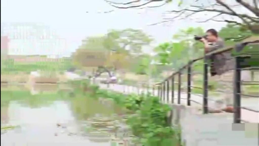 师自通 风景人像摄影技巧 单反摄像手动对焦技