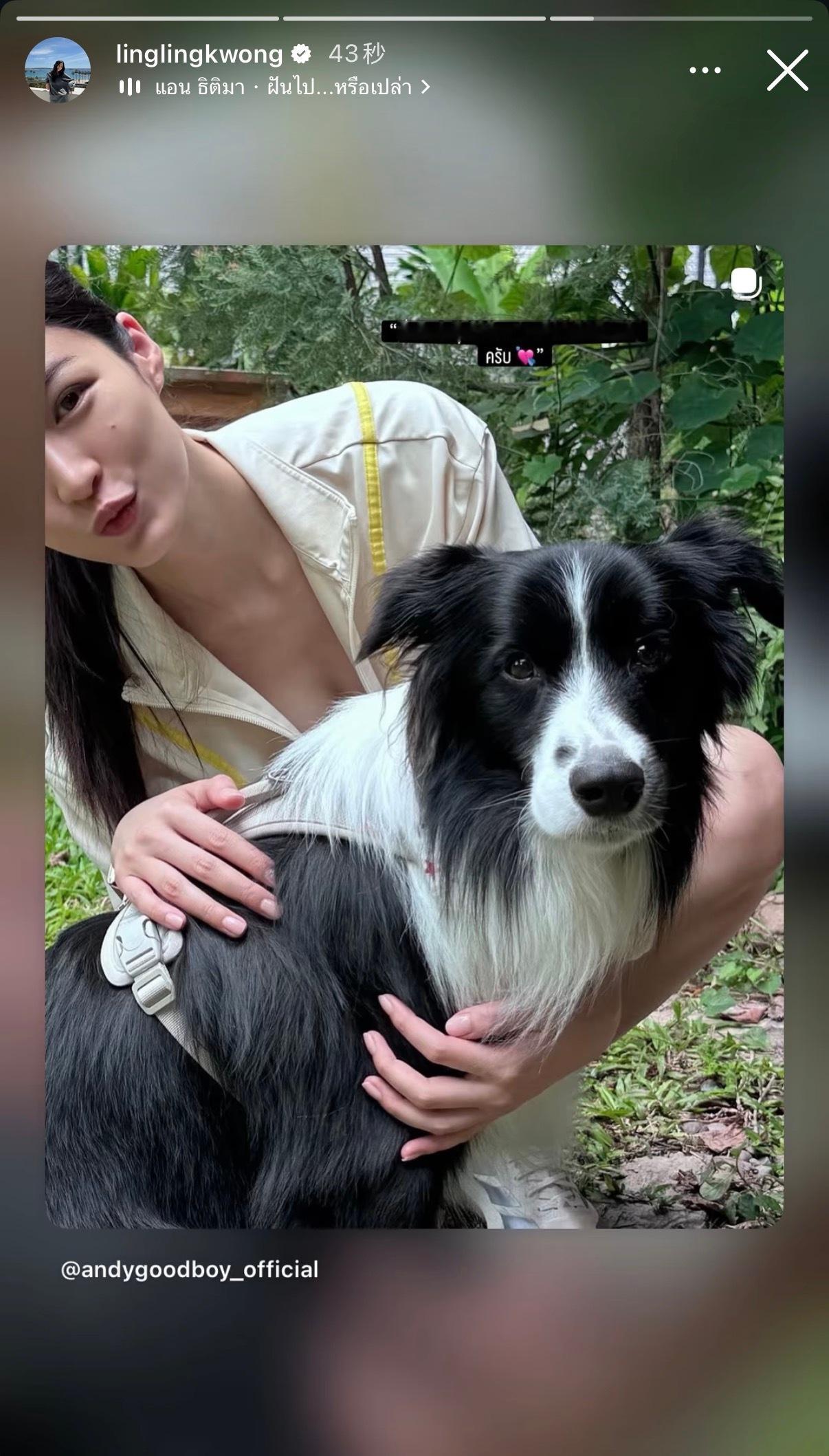 邝玲玲igstory更新今天和ann姐的狗狗一起玩了邝玲玲回复：“Andy，好