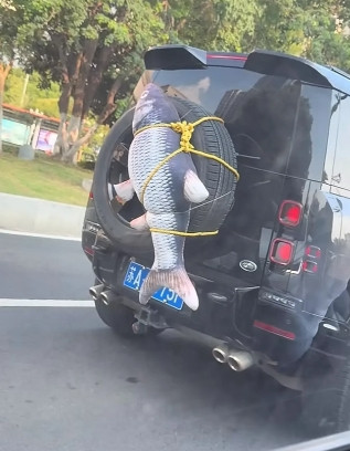车主这是在赤裸裸的炫耀吧。[捂脸哭][捂脸哭][捂脸哭]