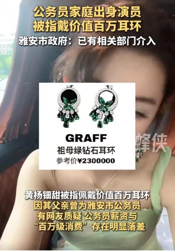 按黄杨钿甜的gwy爸爸说的，这230万的天价耳环是假的。那他自己戴的价值48