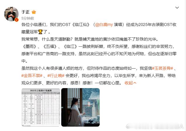 热烈祝贺白鹿《临江仙》成为2025古装剧OST收藏量之王！于正感恩大家喜