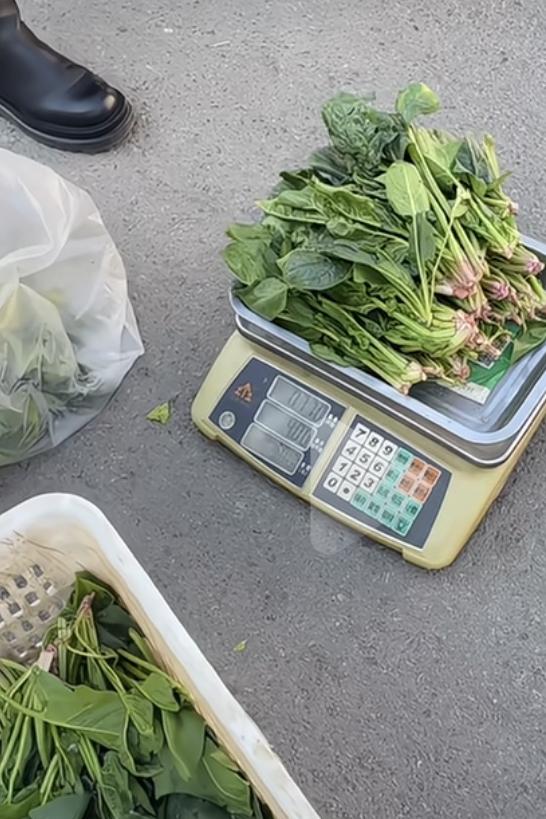 11月26日道道，价值2元的菠菜，却见证了满满的诚信！河北唐山，一女子去一大爷卖