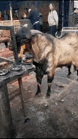 有谁能科学地解释下～