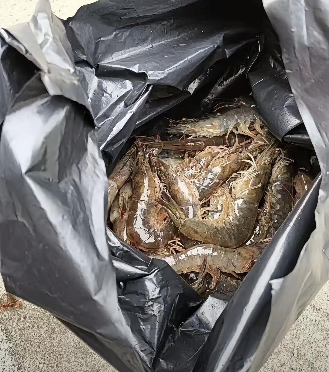 那天我去菜市场买虾。前面阿姨挑了好久，说买30块的。老板称了下说是30块五，直接