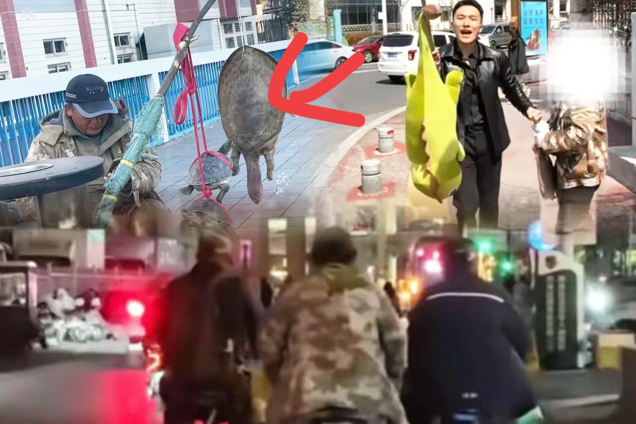 蹲守一天才扒清！路边拎王八的迷彩大爷，压根不是卖货的，全是团伙套路！路口常