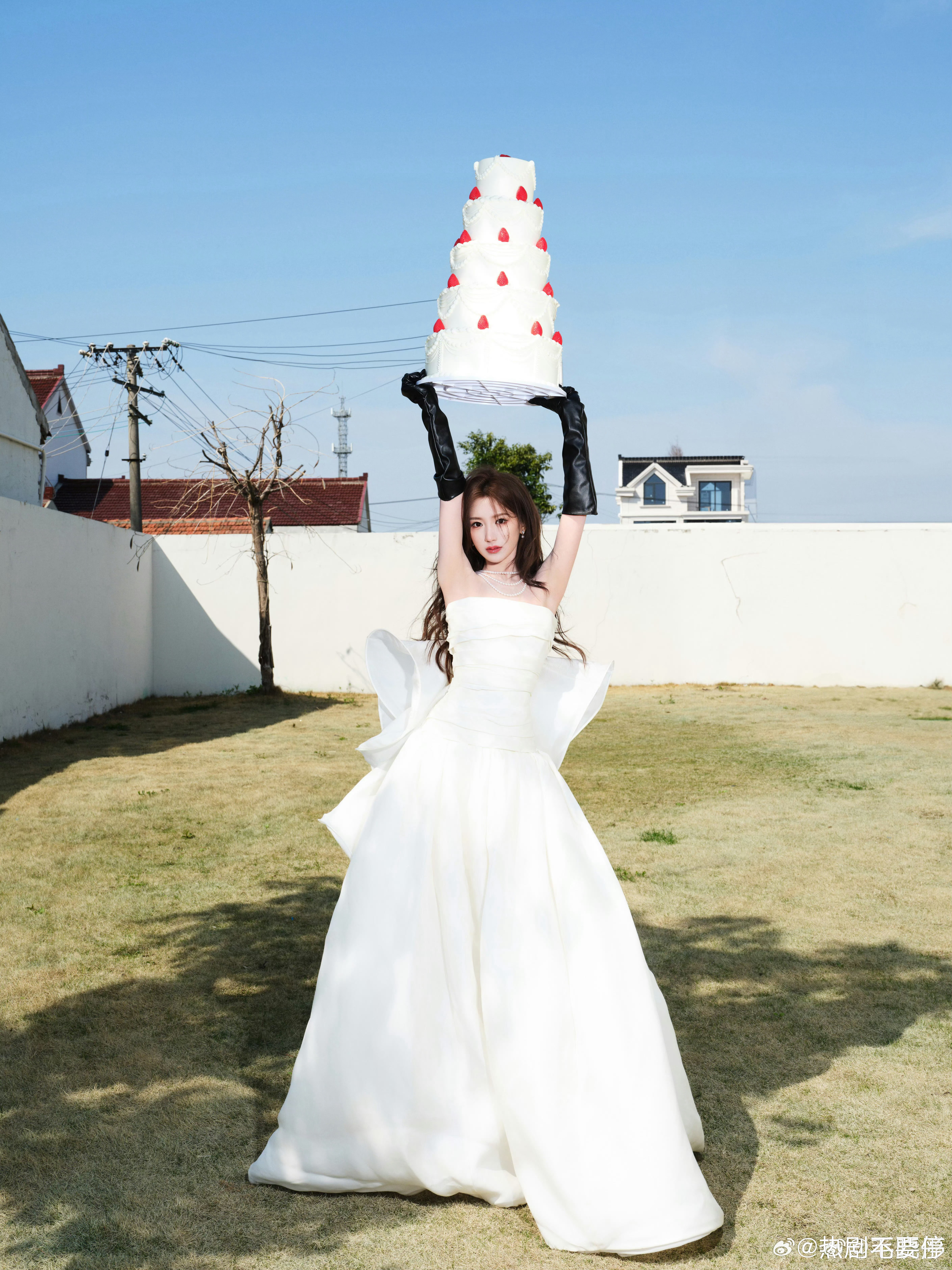 宝宝你是一个奶油蛋糕🎂毛晓彤落跑白玫瑰