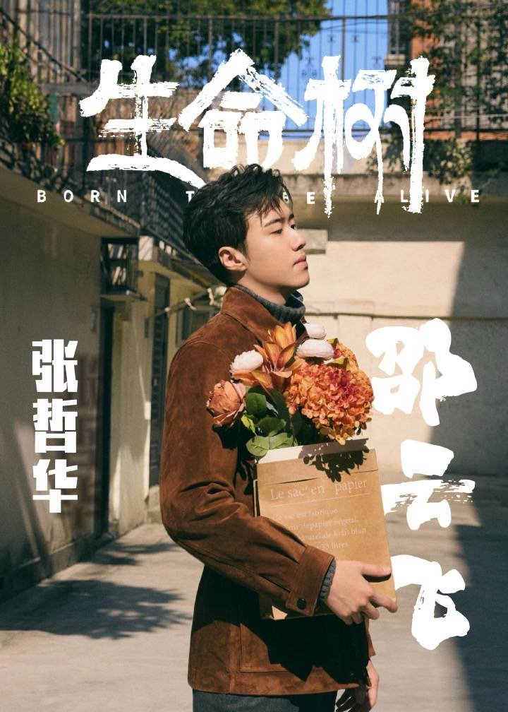 电视剧生命树生命树官宣张哲华真的不让人剧荒！《命悬一生》的紧张刺激还在脑补，《