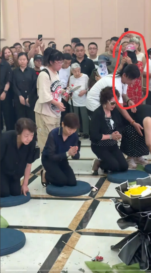 杨少华追悼会，义子杨进明来了很正常，儿媳妇梦真来了也很正常，但这个大姐属实