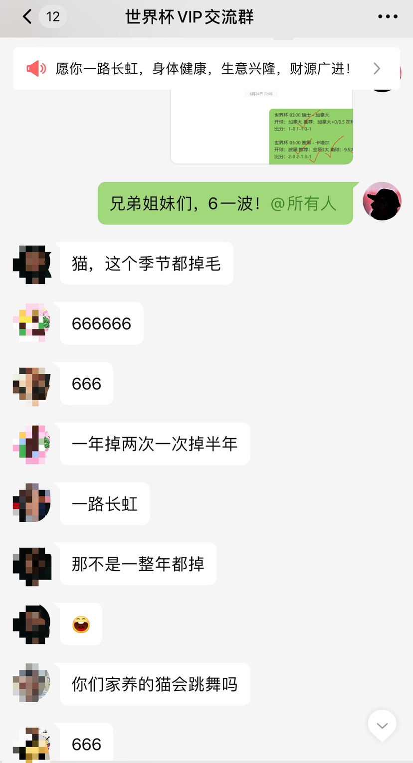 世界杯小组赛一直在带队开球追击9连胜推荐预测比分也5连胜厄瓜多尔vs德国