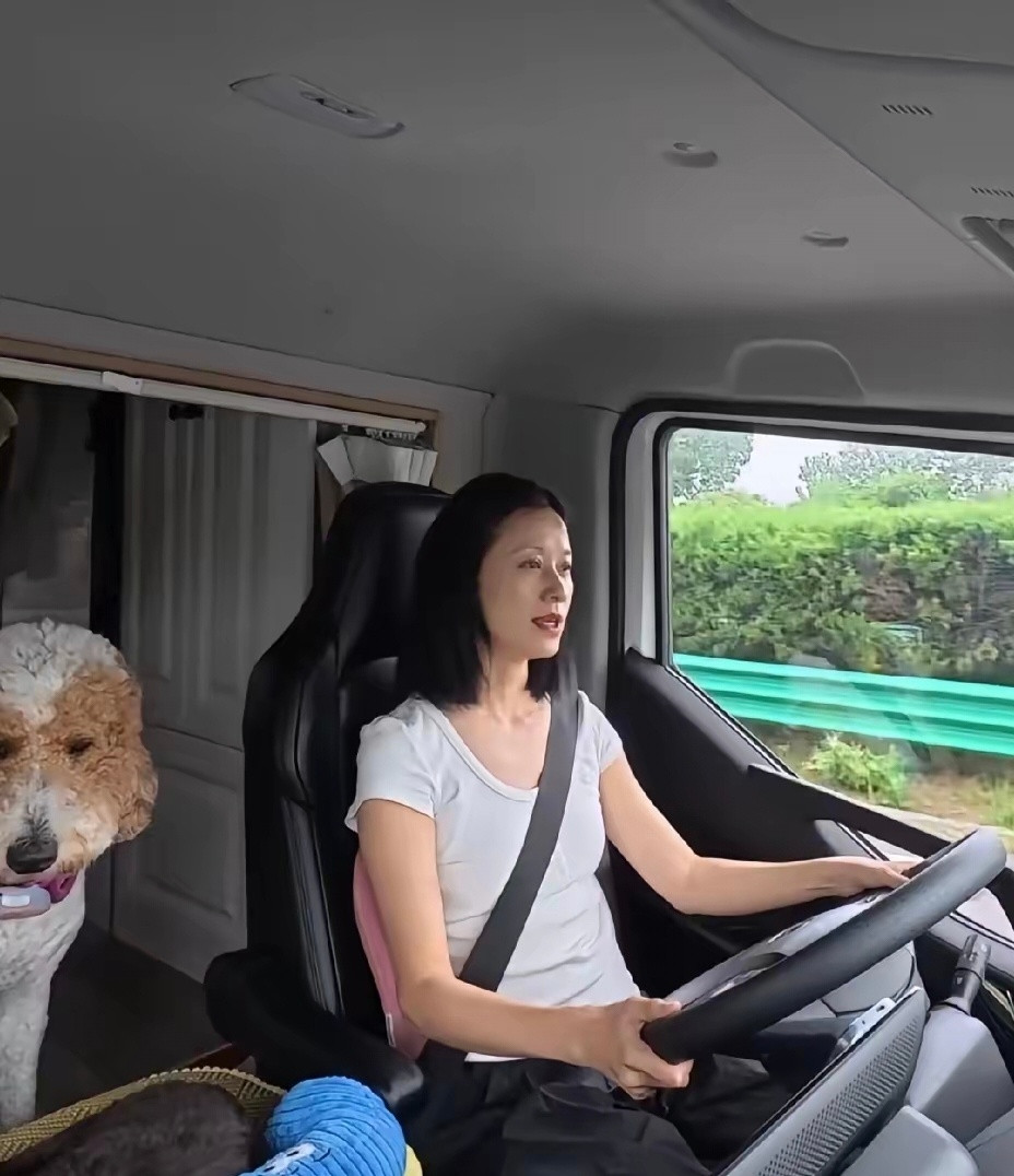 倪虹洁带着爱犬自驾一路向西，简单白T恤黑裤子，素颜状态很松弛，一人一车一狗，看着
