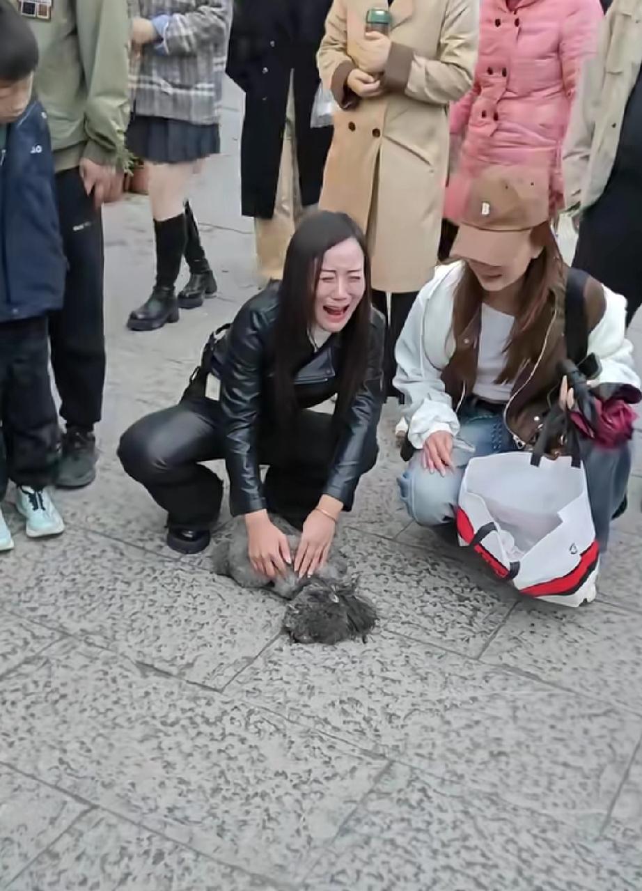 美女豢养的宠物小狗在闹市区被骆驼踩死了，她们难过的不行，当街对着狗狗嚎啕大哭，全