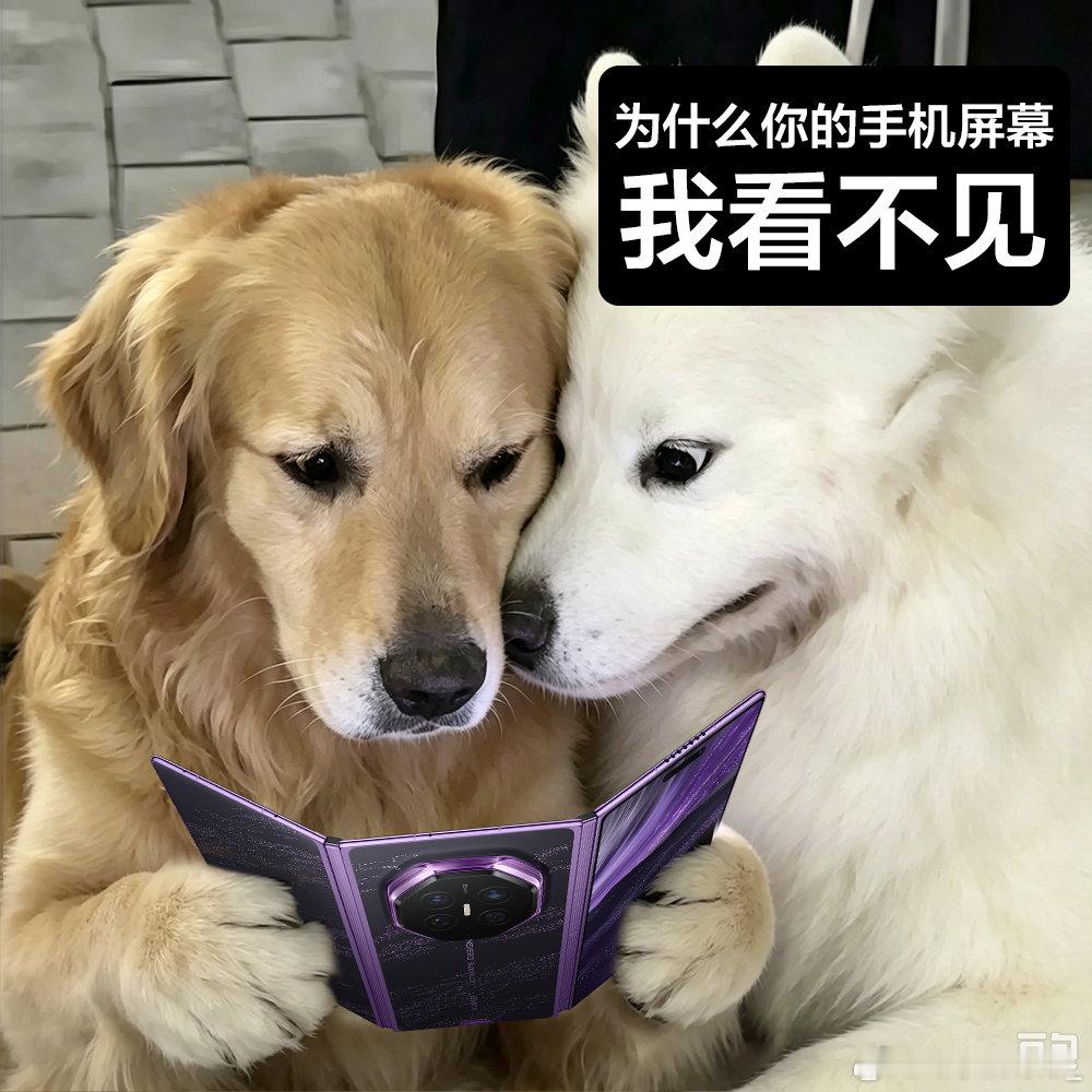 华为三折叠首次实现硬件级防窥很好奇灵盾功能硬件的构成，等到HarmonyOS
