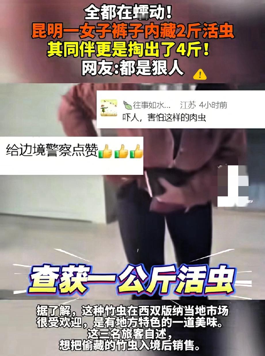 昆明这波操作太离谱！女子裤子里藏2斤活竹虫，同伴掏出来4斤，全是蠕动的活虫—