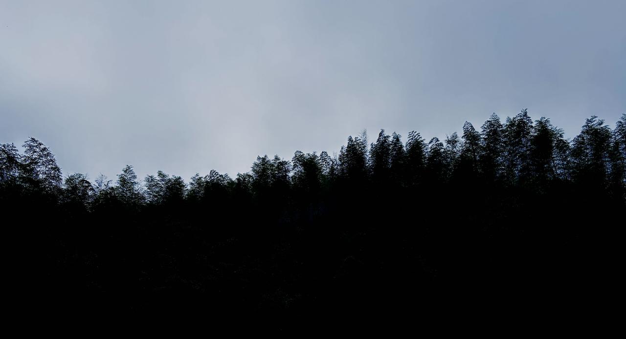 战争是经济周期规律，当贫富差距越来越大的时候，只有战争才能重新洗牌，资源会重新分