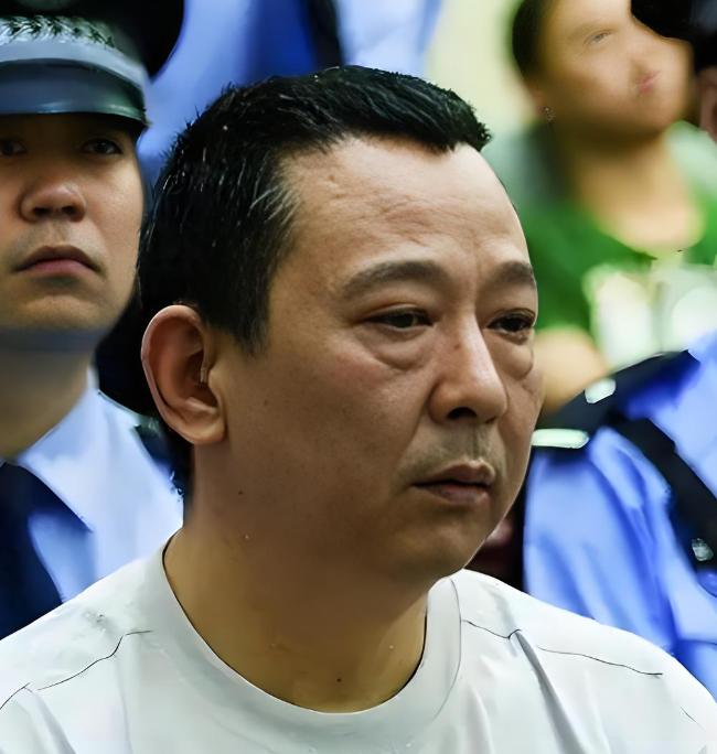2015年2月9日，刘汉在咸宁火葬场被执行死刑。那天他穿蓝衬衫，没戴手铐，但眼神