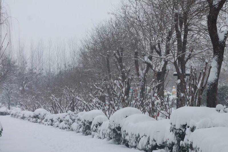 多想像个孩子那样在雪地上摔跤