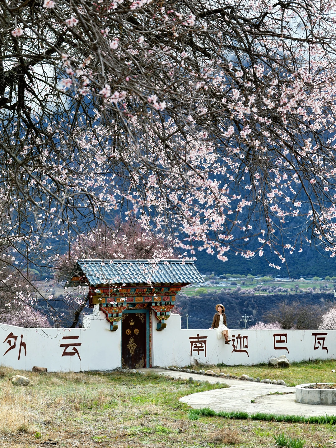 为了这几张雪山桃花图飞了趟林芝，值吗？