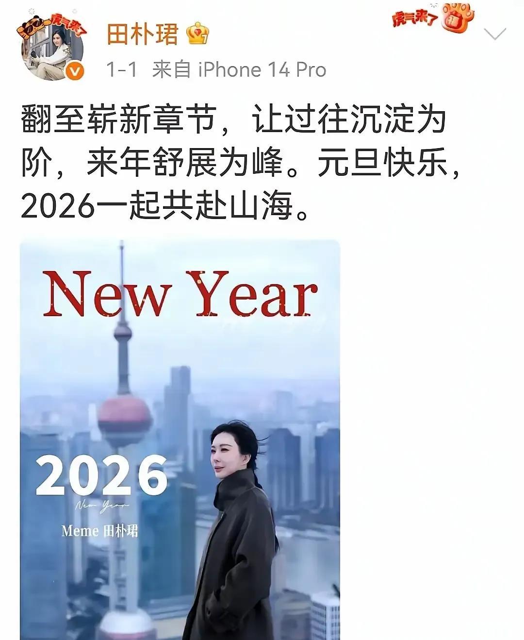 田朴珺新年发文，一句“老王成了过往台阶”，瞬间引爆了所有揣测。英雄迟暮，美人关