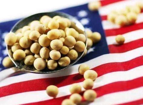 特朗普冷落日本，中日关系跌入冰点！