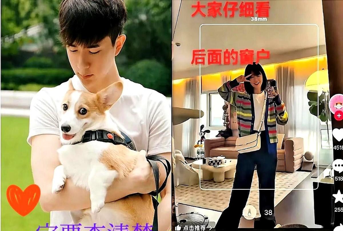 十分钟饭局，五条人命轨迹，一扇破纱窗把“意外”撕成碎片。抓痕攀在窗沿，惧高症挂