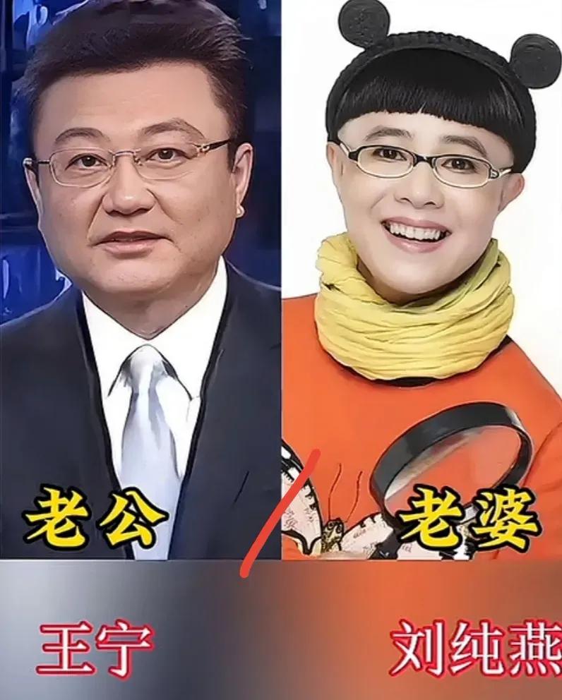 王宁❤️刘纯燕刚强❤️徐春妮撒贝宁❤️李白董卿❤️密春雷王斑❤️曹颖陈