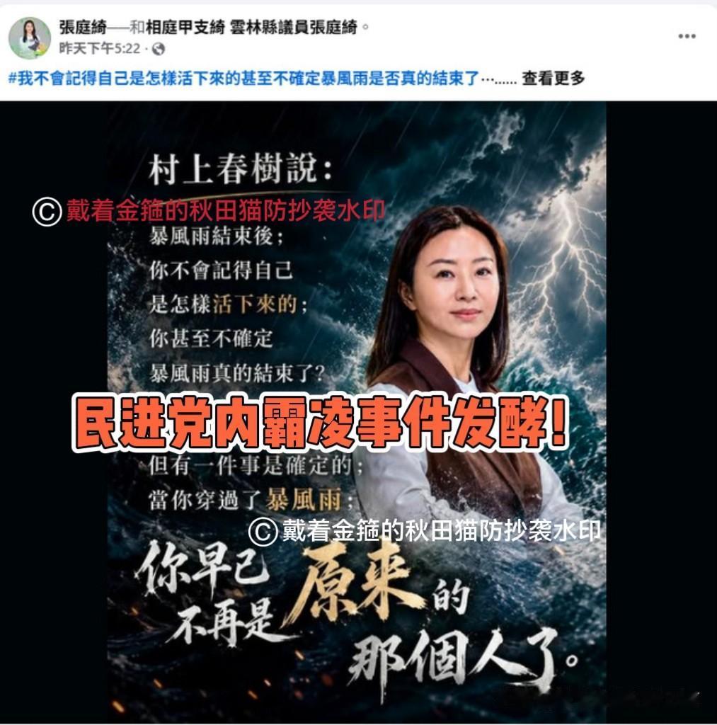 民进党内霸凌事件发酵！亮眼美女议员爆被同党民代扇耳光、围堵骚扰，苏治芬怒问“处