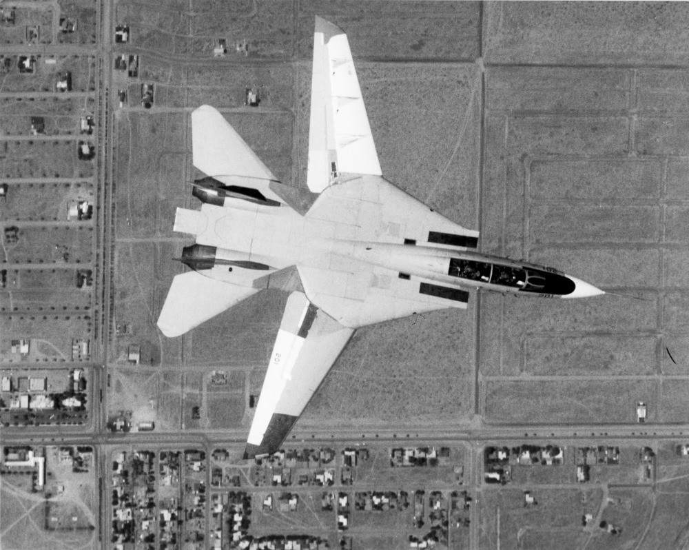 猫宁。老学校时代的几张F-14大猫