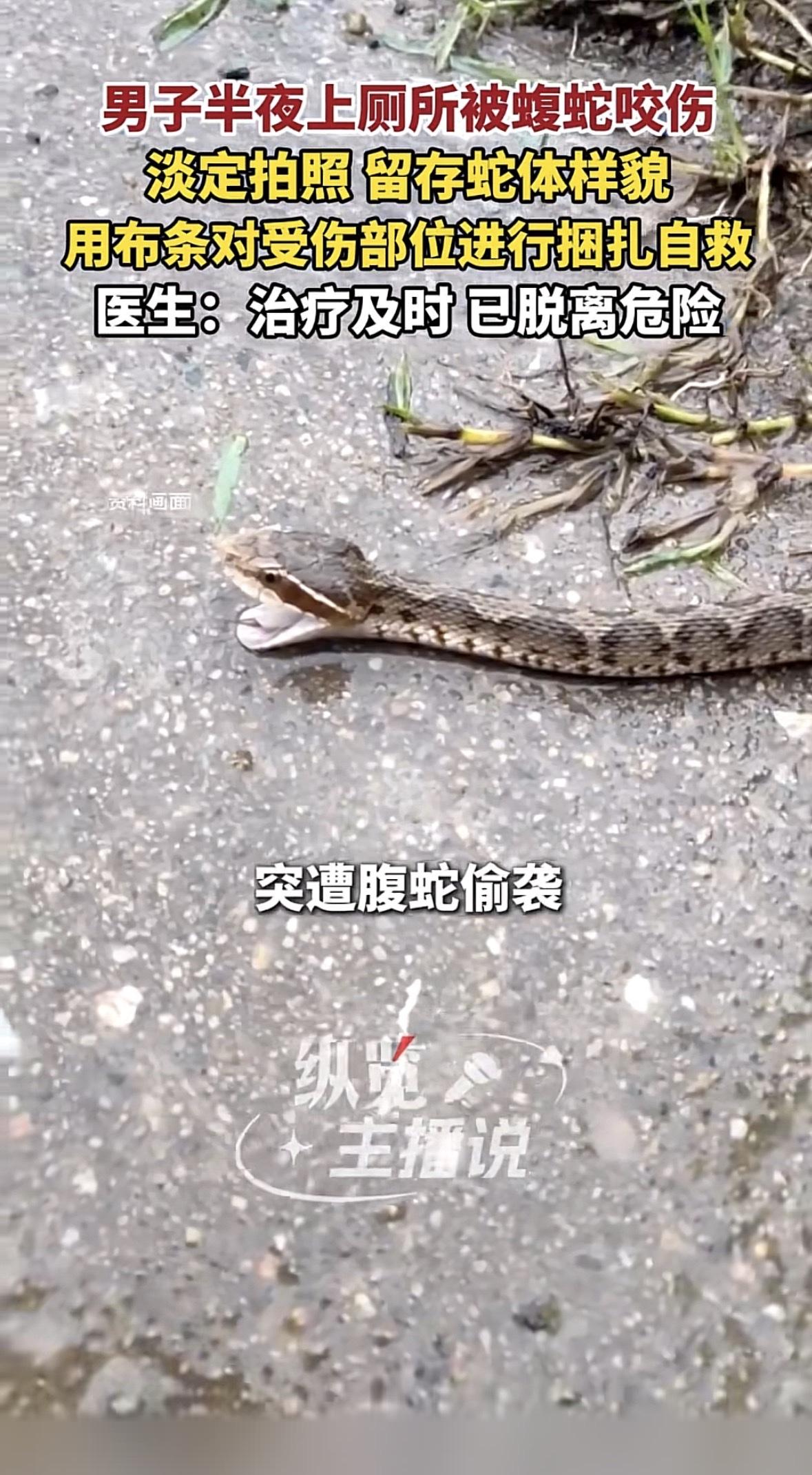 前几天刷到个新闻，看得人一边捏汗一边忍不住佩服。广东一个小伙子半夜在郊区户外上厕